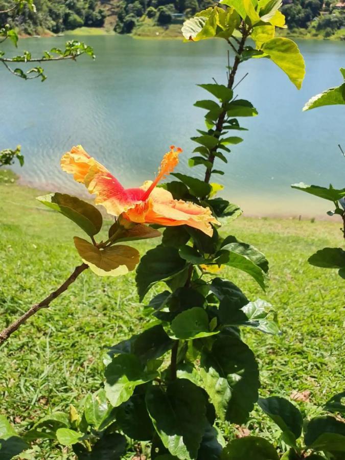 Maravilhoso Sitio Na Beira Da Represa Villa Igaratá Eksteriør bilde